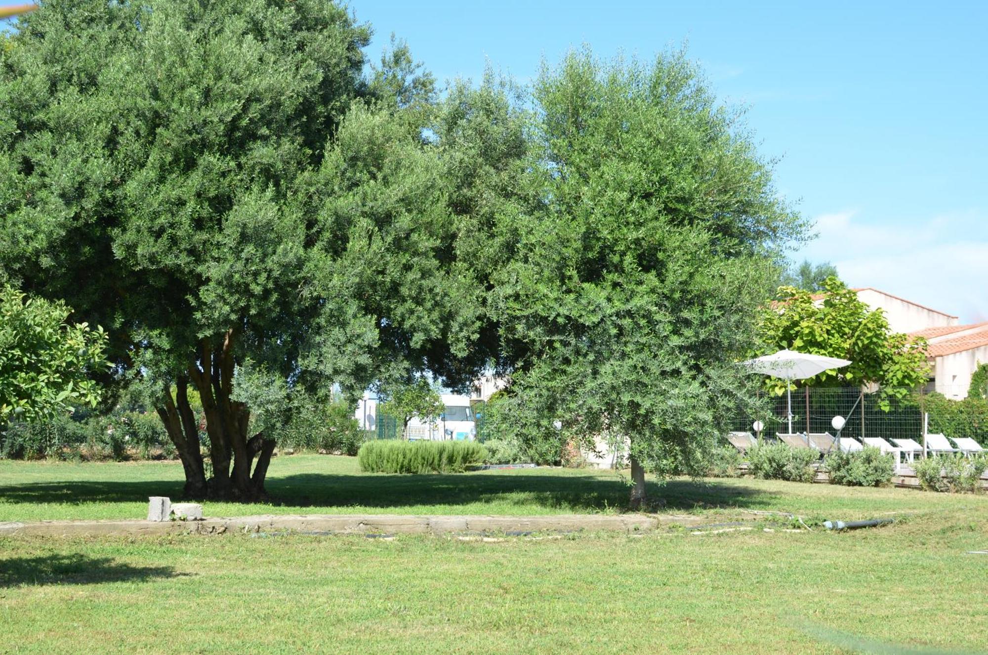 Villa Teti - Sicilia Campofelice Di Roccella Luaran gambar